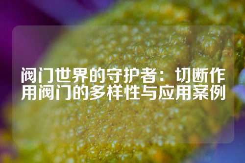 阀门世界的守护者：切断作用阀门的多样性与应用案例