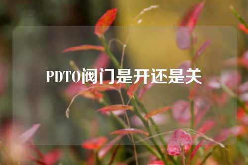 PDTO阀门是开还是关