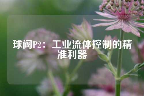 球阀P2：工业流体控制的精准利器