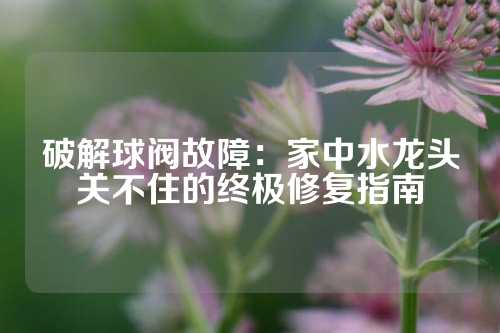 破解球阀故障：家中水龙头关不住的终极修复指南