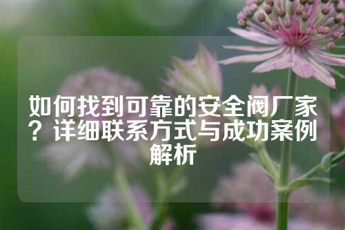 如何找到可靠的安全阀厂家？详细联系方式与成功案例解析