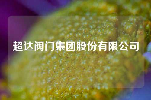 超达阀门集团股份有限公司