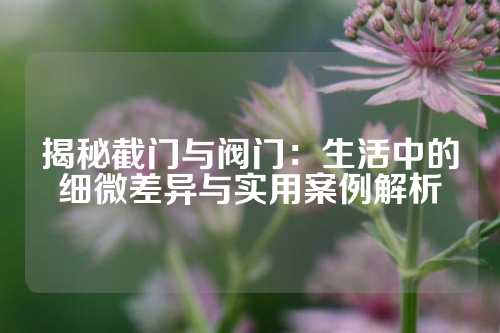 揭秘截门与阀门：生活中的细微差异与实用案例解析