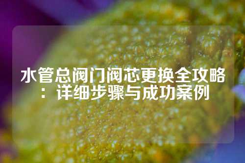 水管总阀门阀芯更换全攻略：详细步骤与成功案例