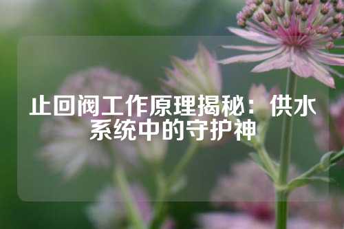 止回阀工作原理揭秘：供水系统中的守护神