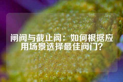 闸阀与截止阀：如何根据应用场景选择最佳阀门？