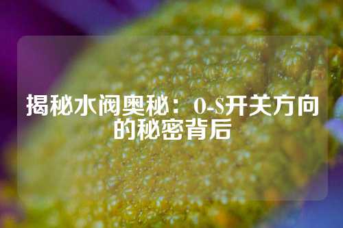 揭秘水阀奥秘：O-S开关方向的秘密背后