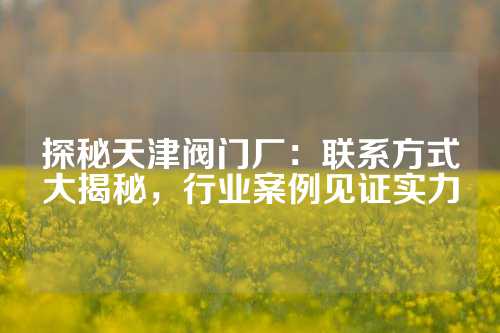 探秘天津阀门厂：联系方式大揭秘，行业案例见证实力