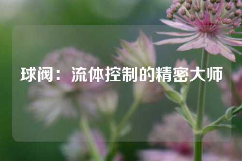 球阀：流体控制的精密大师