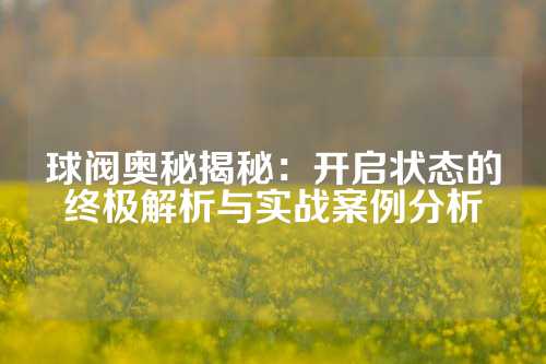 球阀奥秘揭秘：开启状态的终极解析与实战案例分析