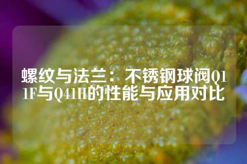 螺纹与法兰：不锈钢球阀Q11F与Q41H的性能与应用对比