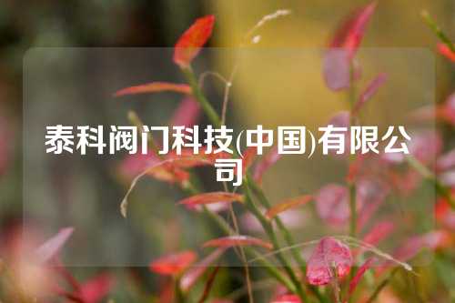 泰科阀门科技(中国)有限公司