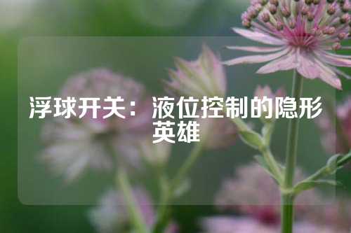 浮球开关：液位控制的隐形英雄