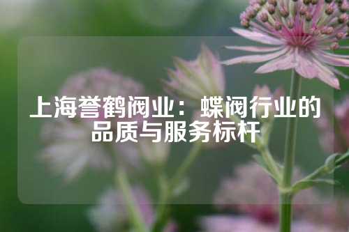 上海誉鹤阀业：蝶阀行业的品质与服务标杆