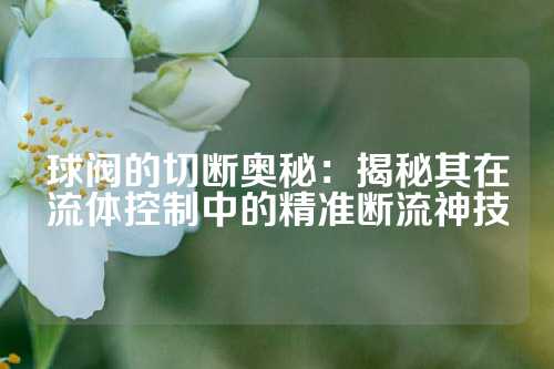 球阀的切断奥秘：揭秘其在流体控制中的精准断流神技