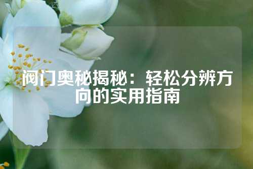 阀门奥秘揭秘：轻松分辨方向的实用指南