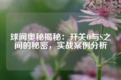 球阀奥秘揭秘：开关O与S之间的秘密，实战案例分析