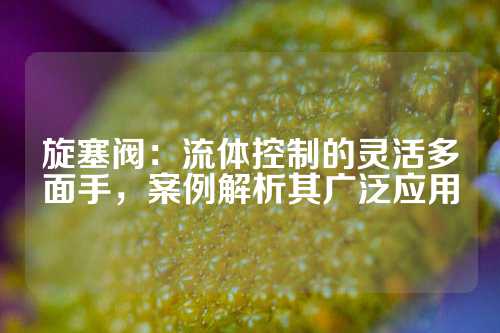 旋塞阀：流体控制的灵活多面手，案例解析其广泛应用