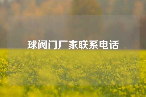 球阀门厂家联系电话