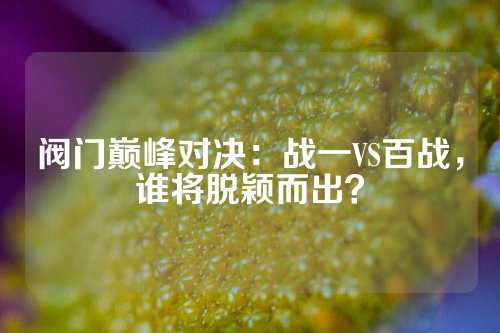 阀门巅峰对决：战一VS百战，谁将脱颖而出？