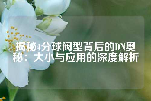 揭秘4分球阀型背后的DN奥秘：大小与应用的深度解析