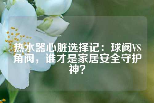 热水器心脏选择记：球阀VS角阀，谁才是家居安全守护神？