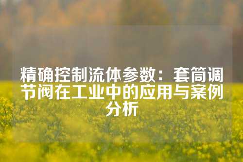 精确控制流体参数：套筒调节阀在工业中的应用与案例分析