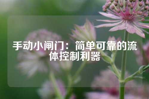 手动小闸门：简单可靠的流体控制利器