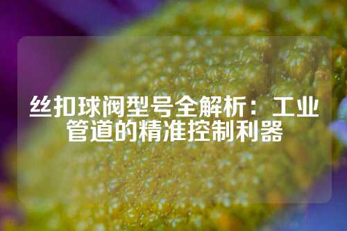 丝扣球阀型号全解析：工业管道的精准控制利器