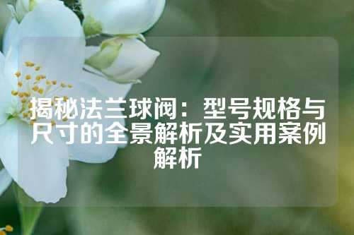 揭秘法兰球阀：型号规格与尺寸的全景解析及实用案例解析