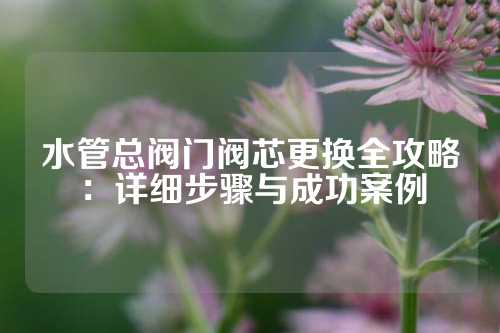 水管总阀门阀芯更换全攻略：详细步骤与成功案例