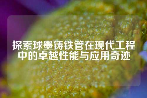 探索球墨铸铁管在现代工程中的卓越性能与应用奇迹