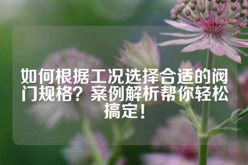 如何根据工况选择合适的阀门规格？案例解析帮你轻松搞定！