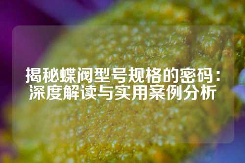 揭秘蝶阀型号规格的密码：深度解读与实用案例分析