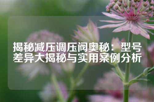 揭秘减压调压阀奥秘：型号差异大揭秘与实用案例分析