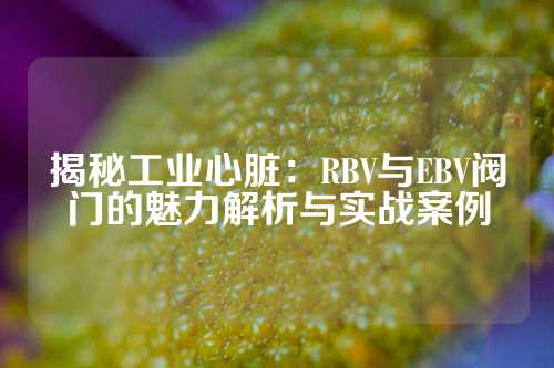 揭秘工业心脏：RBV与EBV阀门的魅力解析与实战案例