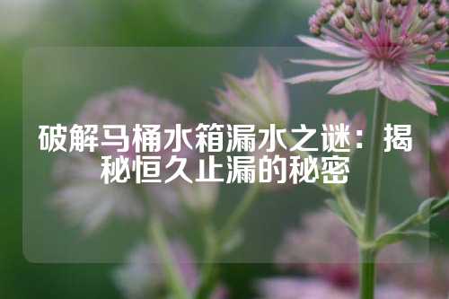 破解马桶水箱漏水之谜：揭秘恒久止漏的秘密