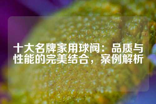 十大名牌家用球阀：品质与性能的完美结合，案例解析