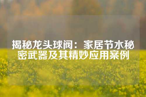 揭秘龙头球阀：家居节水秘密武器及其精妙应用案例