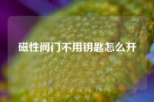 磁性阀门不用钥匙怎么开