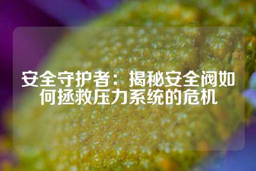 安全守护者：揭秘安全阀如何拯救压力系统的危机