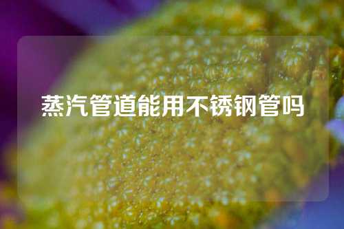 蒸汽管道能用不锈钢管吗