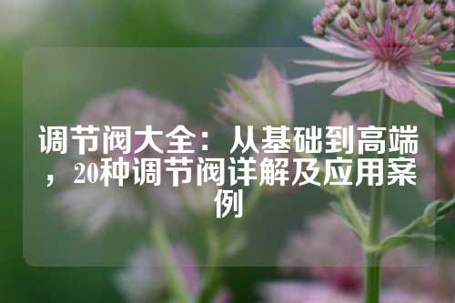 调节阀大全：从基础到高端，20种调节阀详解及应用案例