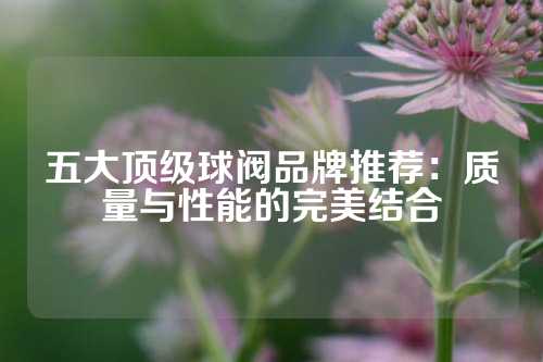 五大顶级球阀品牌推荐：质量与性能的完美结合