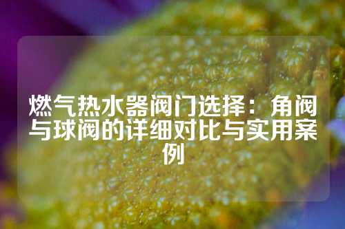 燃气热水器阀门选择：角阀与球阀的详细对比与实用案例