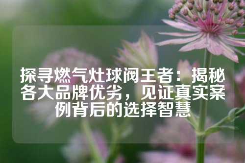 探寻燃气灶球阀王者：揭秘各大品牌优劣，见证真实案例背后的选择智慧