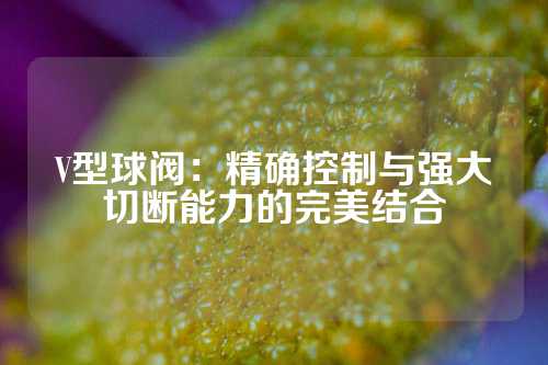 V型球阀：精确控制与强大切断能力的完美结合