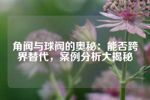 角阀与球阀的奥秘：能否跨界替代，案例分析大揭秘