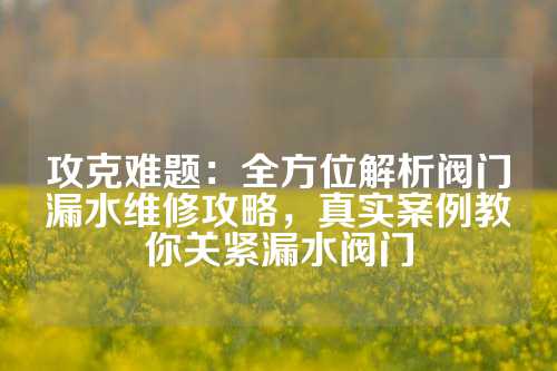 攻克难题：全方位解析阀门漏水维修攻略，真实案例教你关紧漏水阀门