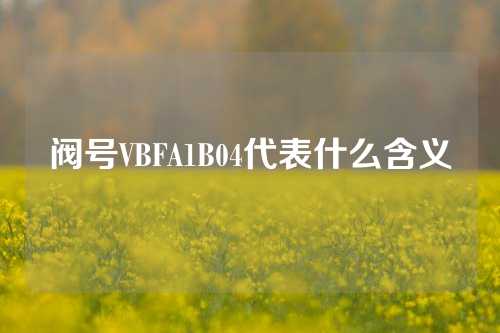 阀号VBFA1B04代表什么含义